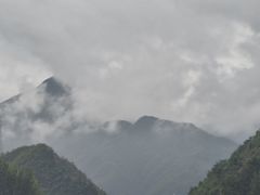 -栾川竹海野生动物园