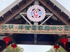 -上海海湾国家森林公园