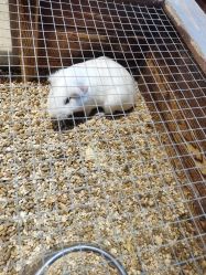 -酷嗒动物文化乐园(cutezoo西溪乐天城店)