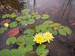 -名花谷生态庄园