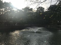 -普陀山风景名胜区-法雨禅寺