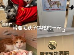 -瑞派康怡24h宠物医院·犬猫医疗中心·微创绝育(瑞景分院)
