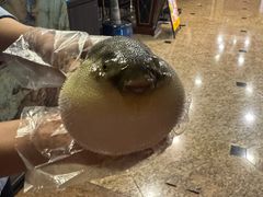 -肆月河豚·淮扬菜·湘菜(华天店)