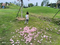 -武汉紫薇都市田园