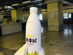 -一鸣真鲜奶吧(龙江地铁站店)