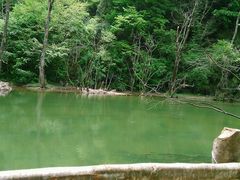 android_upload_pic-黎坪国家森林公园
