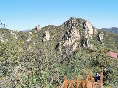 -大岭沟猕猴桃谷风景区