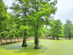 -青山湖景区