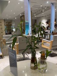 -菲·木田moontin造型salon