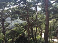 -崂山仰口游览区
