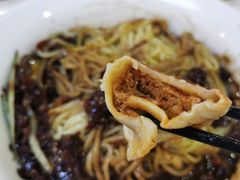 泡菜饺-桃园中华料理炸酱面(燕儿岛路店)