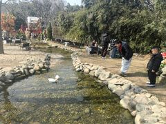 -HERRE·FARM 赫尔露营农场·团建聚会包场