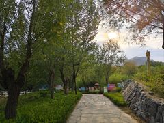 -西部长青自然儿童乐园