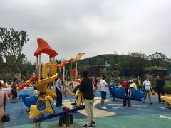 -铁山坪森林公园