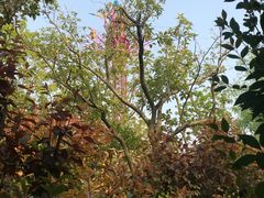 -芜湖方特东方神画