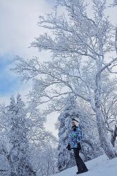 -大秃顶子山(雪谷店)