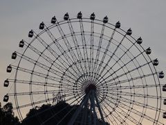 -温州乐园