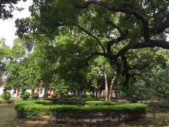 iphone_upload_pic-明秀园