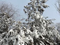 -野鸭湖国家湿地公园