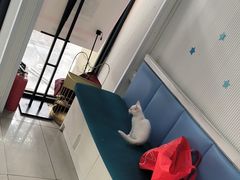 -守诺宠物医院·眼科· 特色牙科·异宠专科(虹口店)