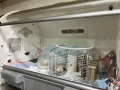 -瑞派名望24h动物医院异宠专科·猫专科·骨科·重症监护分院
