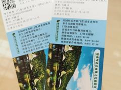 -呀诺达热带雨林