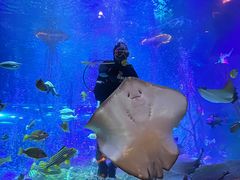 -沈阳海洋探索中心