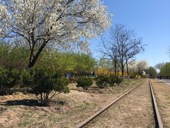 -永定河休闲森林公园