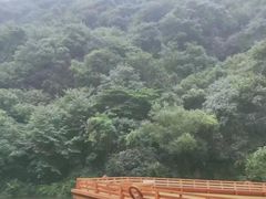 -少华山国家森林公园