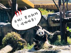 -宁波野生动物园