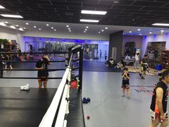 -拳义格斗搏击散打泰拳拳击俱乐部(裕华店)