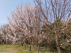 -同里国家湿地公园