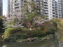 -新湖明珠城