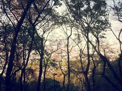 android_upload_pic-府山公园