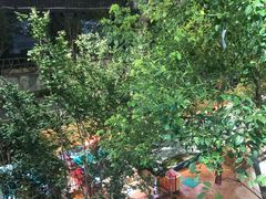 -杭州浪浪浪水公园