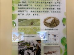 -上海昆虫博物馆