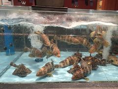 -阿伟海鲜楼·福建菜(延寿店)