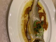 -绿岛国际酒店·海鲜酒楼(八七路店)