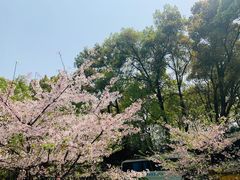 -南山植物园