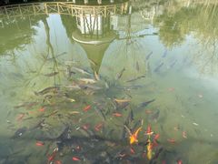 -天毓山庄·餐厅