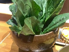 菠菜-呷哺呷哺 黄金牧场 (新中关购物中心店)