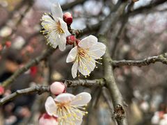 -白塘生态植物园