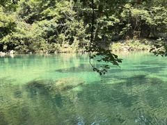 -石台牯牛降景区