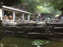 -天怡·鱼工厂(梅溪湖店)