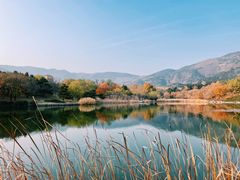 -国家植物园南园