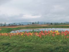 -径山花海