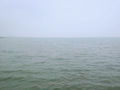-碧海金沙