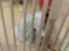 -藏猫猫咖啡主题馆(中央大道店)