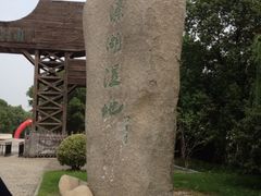 -溱湖国家湿地公园