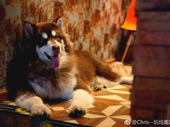 -玩坞轰趴馆·户外团建聚会主题生日派对馆(世豪广场店)